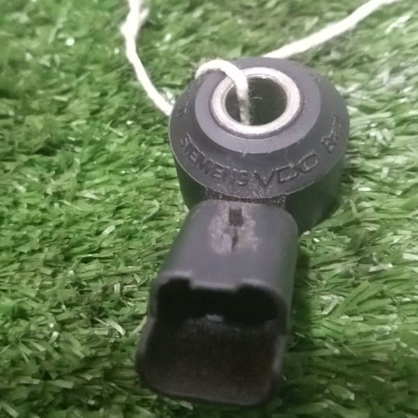 Sensor De Detonação Citroen Peugeot