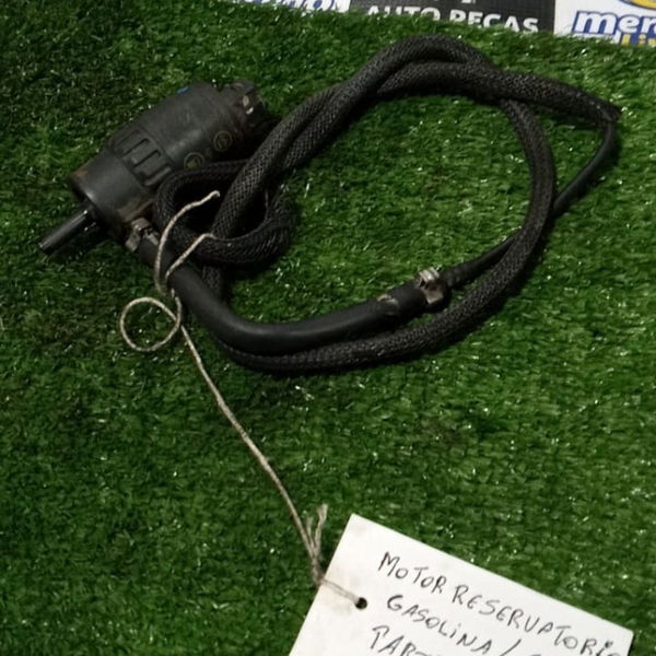 Motor Reservatório Mangueira Gasolina Partida Frio C4 Pallas