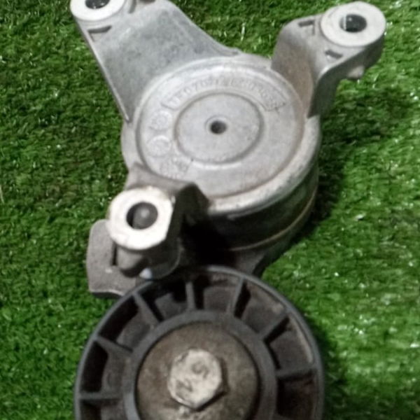Polia Tensionador C4 Pallas 2010 2.0