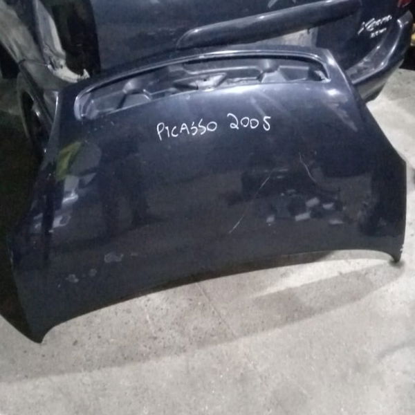 Capo Dianteiro Picasso 2005