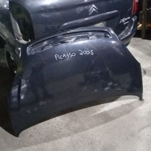 Capo Dianteiro Picasso 2005