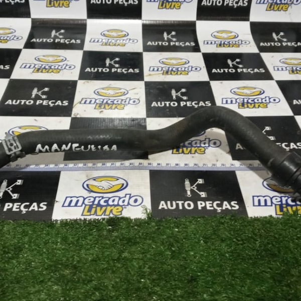 Mangueira Da Água C4 Cactus 2020