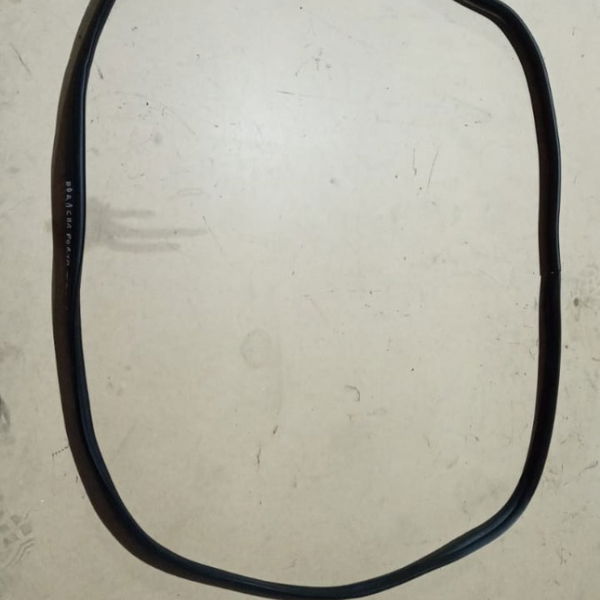 Borracha Porta-mala C4 Cactus 2020