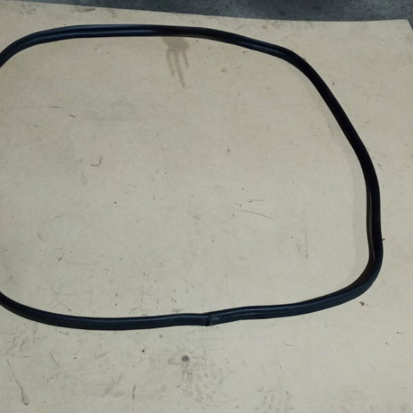 Borracha Porta-mala C4 Cactus 2020
