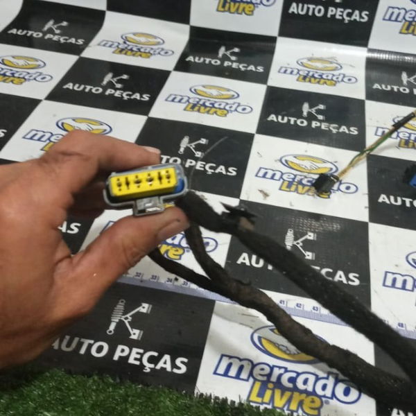 Chicote Porta Traseira Esquerda Peugeot 307 2005