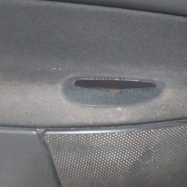 Forro Porta Dianteira Esquerda Peugeot 207 2009