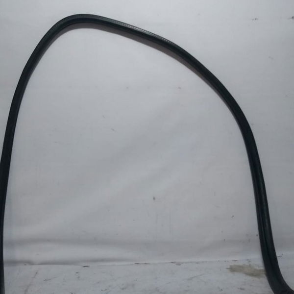 Borracha Porta Traseira Esquerda Citroen C4 Hatch 2010
