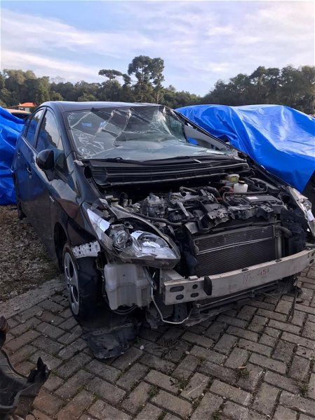Borracha De Porta Dianteiro Esquerdo Toyota Prius 2015