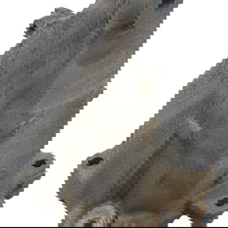 Suporte Coxim Motor Lado Esquerdo Mercedes C180 2019