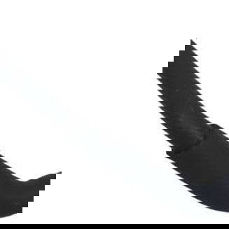 Mangueira Refrigeração Chery Tiggo 5 Hybrid 2023