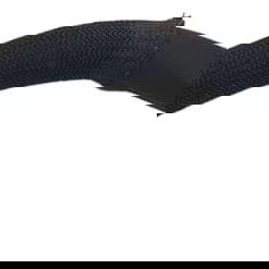 Mangueira Refrigeração Chery Tiggo 5 Hybrid 2023