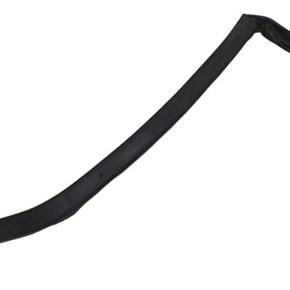 Borracha Porta Traseira Direita Audi Q8 2020 /4m8839120