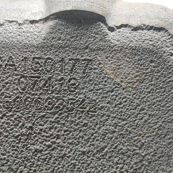 Coletor Admissão Mitsubishi Tr4 2.0 2010