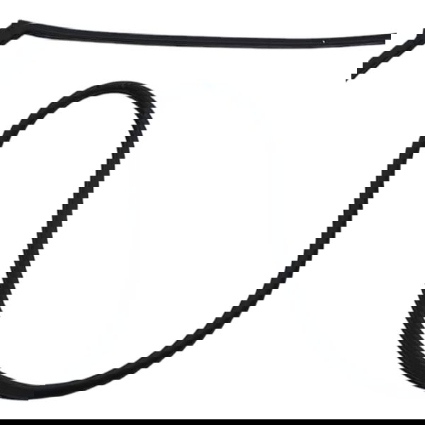 Borracha De Porta Traseira Esquerda Chery Tiggo 7 1.5 2022