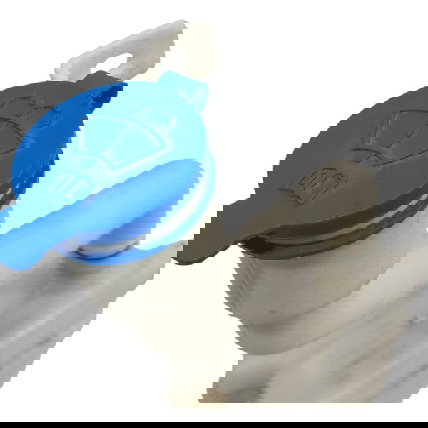 Reservatório Água Para-brisa Chery Tiggo 7 1.5 2022