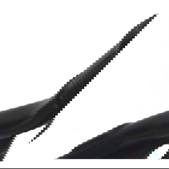 Mangueira Cano Refrigeração Chery Tiggo 7 1.5 2022