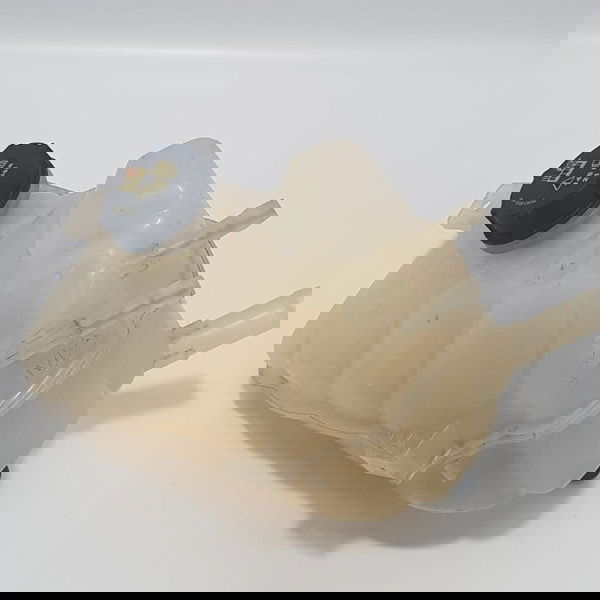 Reservatório De Água Ford Fusion Ecoboost Titanium 2.0 2017