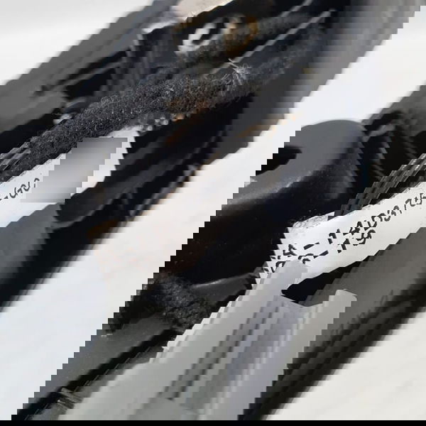 Maçaneta Interna Traseira Esquerda Range Rover Sport 2020 Traseira