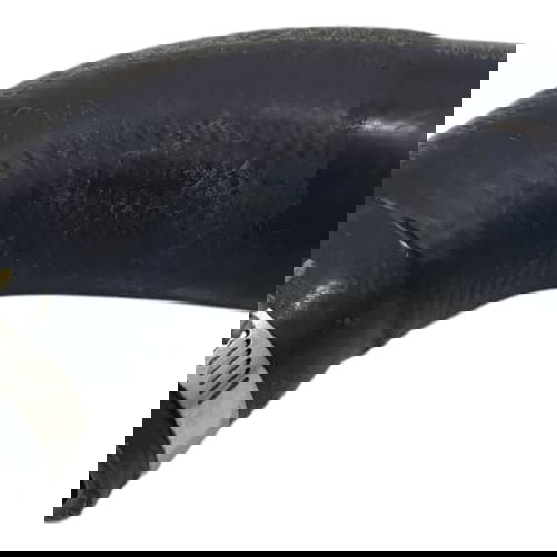 Mangueira Refrigeração Mitsubishi Eclipse Cross Hpes 2021