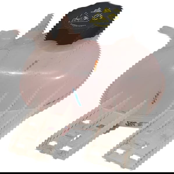 Reservatório De Expansão Rampage Rebel Diesel 2024