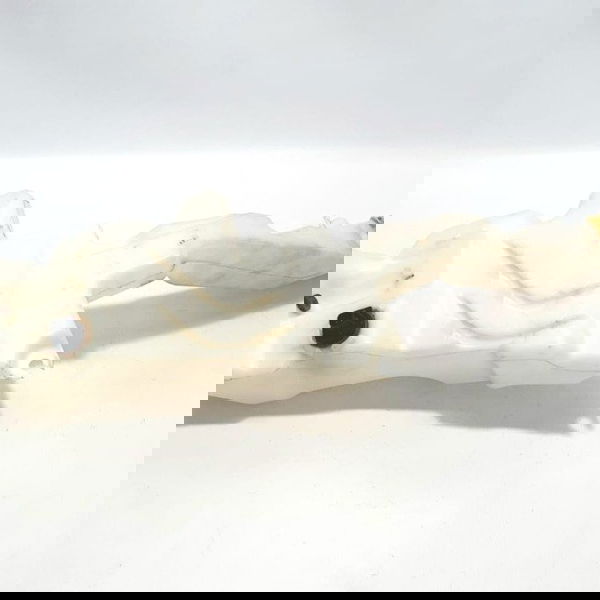 Reservatório Água Para-brisa Jeep Cherokee Longitude V6 2015