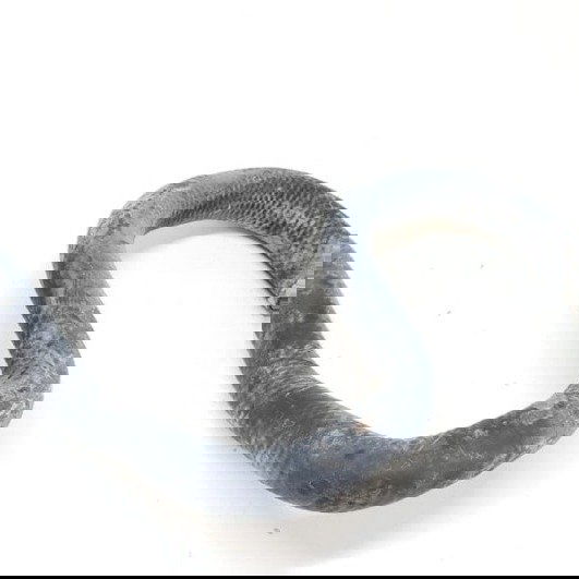 Mangueira Cano Agua Toyota Prius Híbrido 1.8 2016