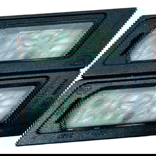 Par Luz De Placa Range Rover Velar P300 2020