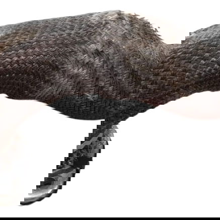 Flange Cano Conexão Lr Discovery Sport Diesel 2022