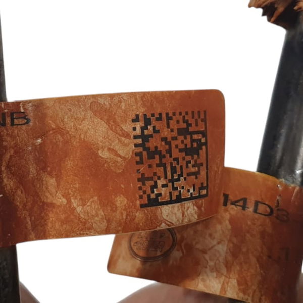 Mangueira Cano Lr Discovery Sport Diesel 2022