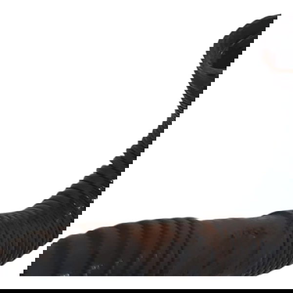 Mangueira Cano Combustível Lr Discovery Sport 2022