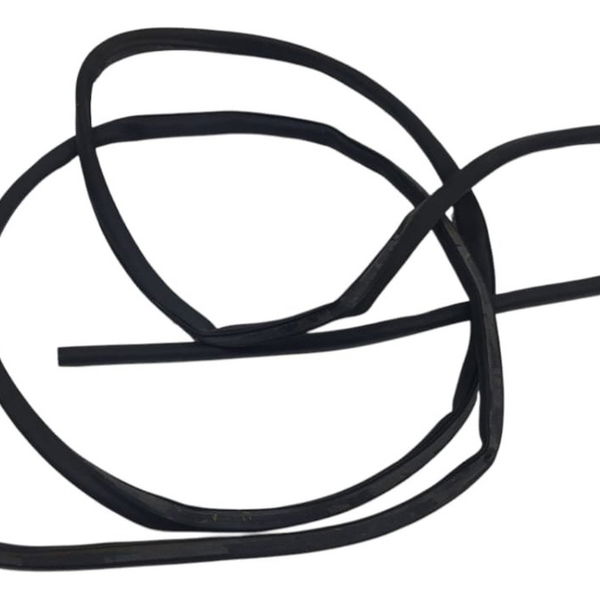 Borracha Porta Dianteira Direita Bmw X3 M40i 2022 Preto