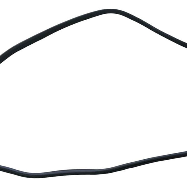 Borracha Porta Traseira Esquerda Bmw X3 M40i 2022 Preto