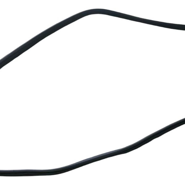 Borracha Porta Traseira Esquerda Bmw X3 M40i 2022 Preto