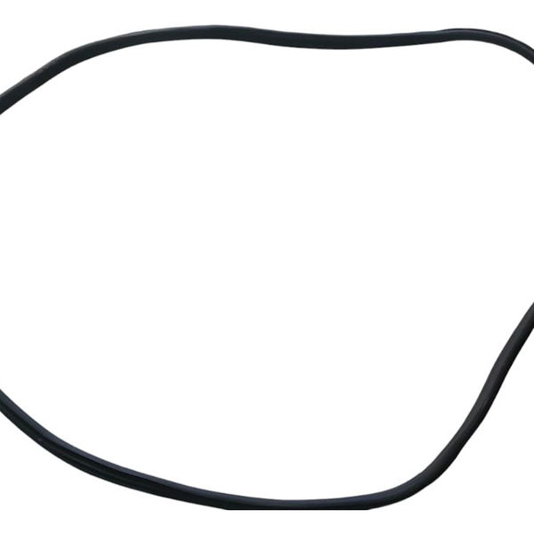 Borracha Porta Traseira Esquerda Bmw X3 M40i 2022 Preto