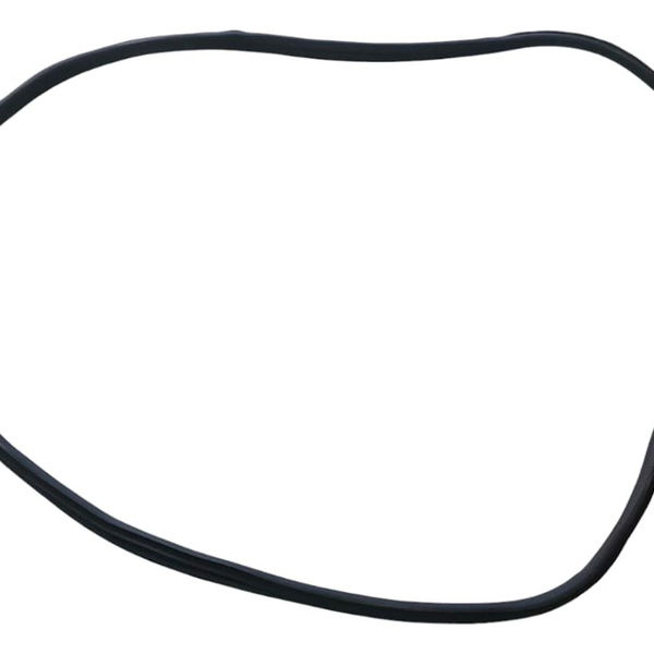 Borracha Porta Traseira Esquerda Bmw X3 M40i 2022 Preto