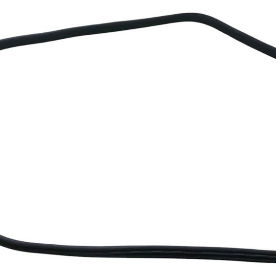 Borracha Porta Traseira Direita Bmw X3 M40i 2022 Preto