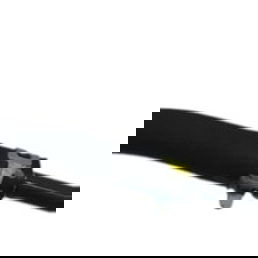 Mangueira Refrigeração Honda Crv 2.0 Híbrida 2023