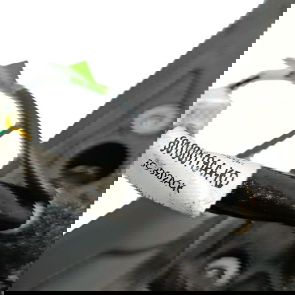 Retrovisor Esquerdo Chery Tiggo 8 Turbo Gdi 2021