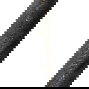 Barra Estabilizadora Land Rover Velar 2019