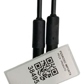 Par Amortecedor Capô Dianteiro Ford Territory 1.5 2025