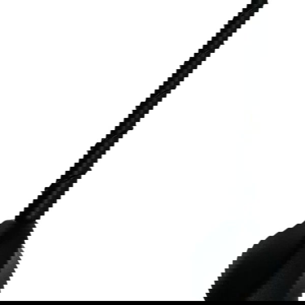 Antena Rádio Teto Ford Territory 1.5 2025 Preto