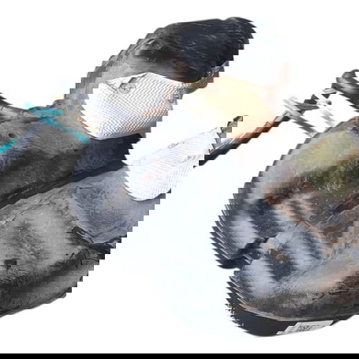 Reservatório Tanque Combustível Vw Touareg V6 2010 Preto