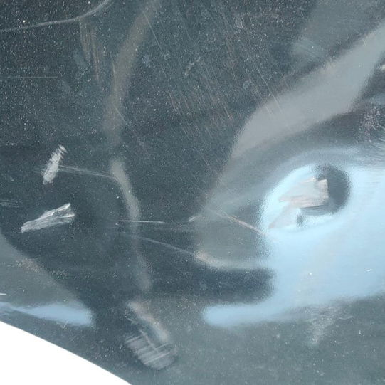 Porta Traseira Direita Bmw X5 2008 (detalhe) - Traseira - Direita - Preto