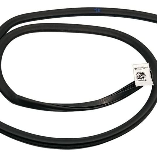 Borracha Porta Traseira Direita Ford Territory 1.5 2025 Preto