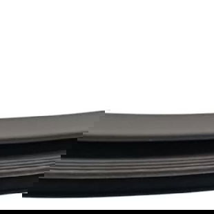 Borracha Porta Traseira Direita Ford Territory 1.5 2025 Preto