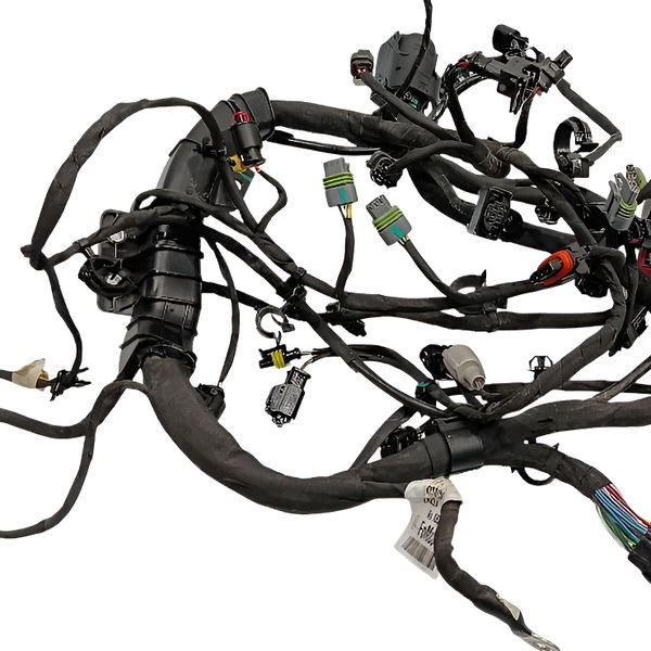 Chicote Motor Ford Territory 1.5 2025