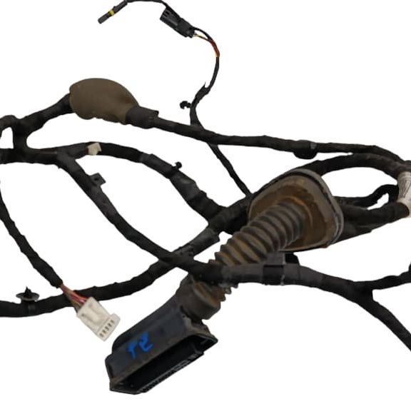 Chicote Porta Traseira Esquerda Bmw 320 2021