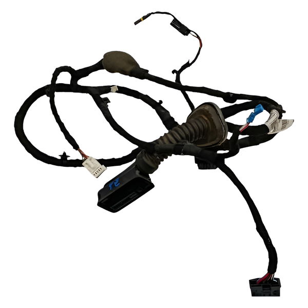 Chicote Porta Traseira Esquerda Bmw 320 2021