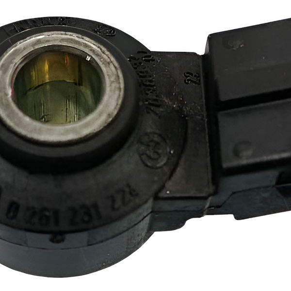Sensor Detonação Bmw 320 2021