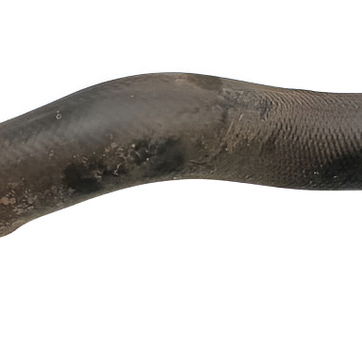 Mangueira Duto Radiador Honda Hrv 1.5 2020